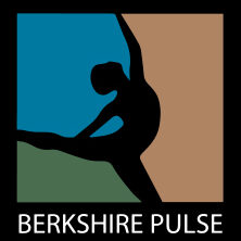 Berkshire Pulse Inc logo