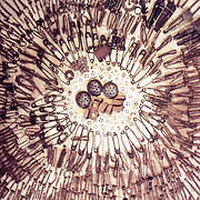 St Joseph Museum logo