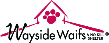 Wayside Waifs Inc logo