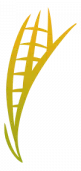 North Dakota Corn Growers Associaton logo