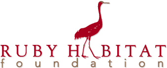 Ruby Habitat Foundation logo