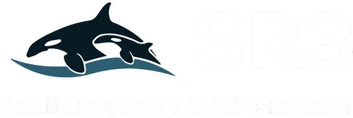 Sr3 Sealife Response Rehabilitation and Research logo