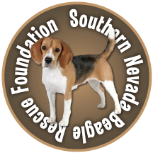 Southern Nevada Beagle Rescue Foundation logo