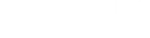 Speedy Foundation logo