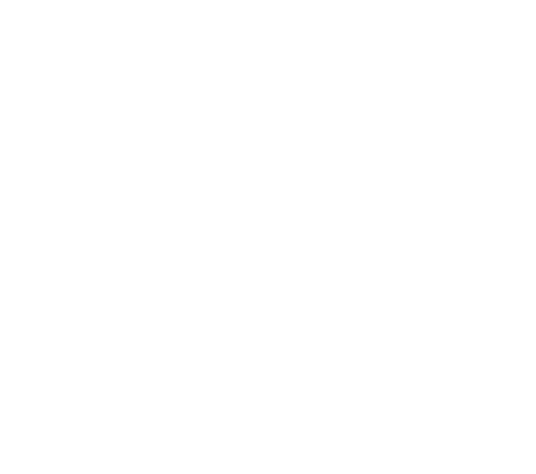 Downtowndc Foundation logo
