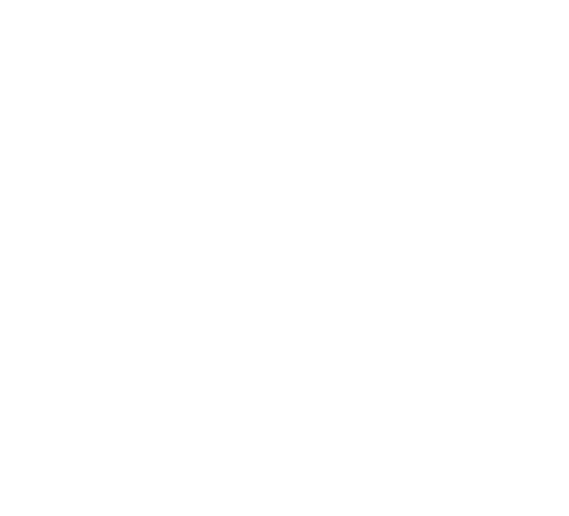 Downtowndc Foundation logo