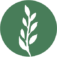 Creation Development Foundation Inc logo
