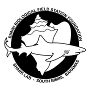 Bimini Biological Field Station Foundation Inc logo