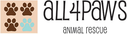 All 4 Paws logo
