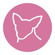 Pixels Posse Inc logo