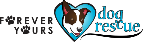 Forever Yours Dog Rescue logo