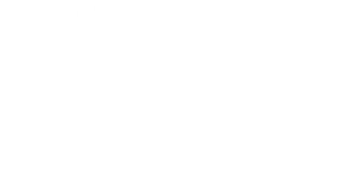 Florida Rising Together Inc logo