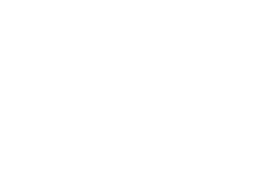 Swaniti Initiative logo