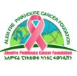 Alem FRE Pinkhouse Cancer Foundation N Inc logo