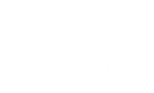 Gymnastics Village Boys Booster Club logo