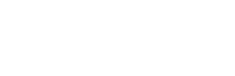 Firm Foundations Youth Homes Inc logo