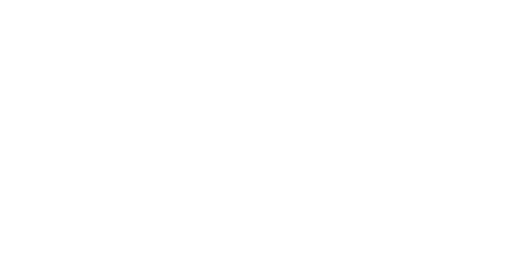Shadow Student Athlete Development Services Inc logo