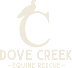 Dove Creek Equine Rescue & Sanctuary logo