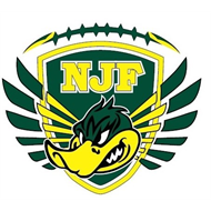 American Youth Football Inc logo