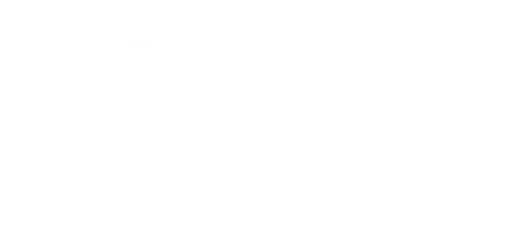Symphony Orchestra of Northern Virginia Inc logo