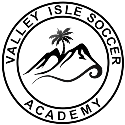 Valley Isle Soccer Academy logo