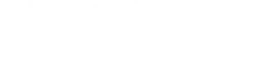 Oasis Companies International logo
