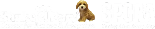 Shake a Paw Rescue and Adoption Center Inc logo