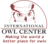 International OWL Center logo