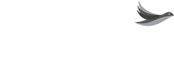Valiant Living Foundation Inc logo