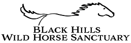 Institute of Range & the American Mustang logo