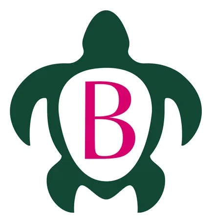 Brandon Merritt Charitable Foundation Inc logo