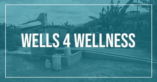 Wells4wellness logo
