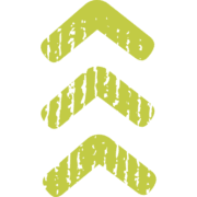 Tree Street Youth Inc logo