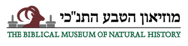 Torah and Nature Foundation logo