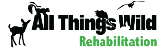 All Things Wild Rehabilitation Inc logo