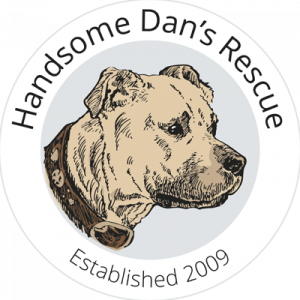 Handsome Dans Rescue for Pit Bull Type Dogs logo