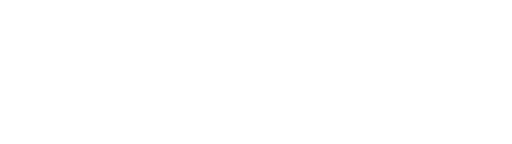 Survive a Stroke Foundation logo