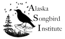 Alaska Songbird Institute logo