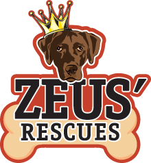 Zeus Rescues Inc logo