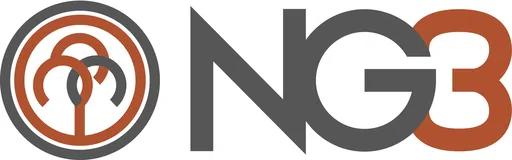 Ng3 Organization Inc logo