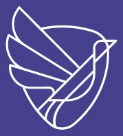 Tyler Robinson Foundation logo
