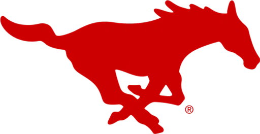 Memorial Spring Branch Girls Lacrosse Club Inc logo