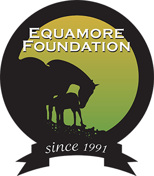 Equamore Foundation logo