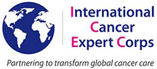 International Cancer Expert Corps Inc logo
