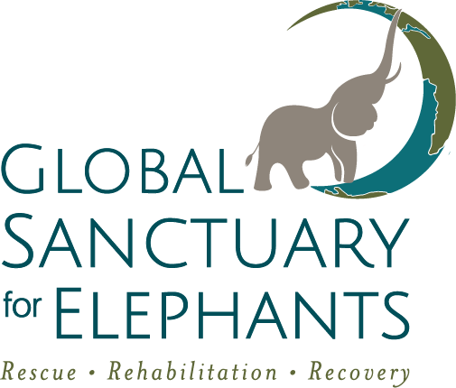Global Sanctuary for Elephants logo