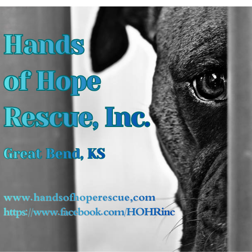 Hands of Hope Rescue logo