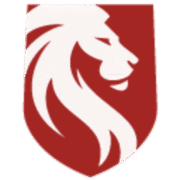 Concilium Inc logo