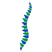 Arkansas Chiropractic Physicians Association logo
