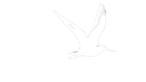 Delta Wind Birds logo