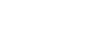 Nepa Inclusive logo